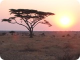Tanzania-049